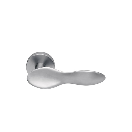 Spoon